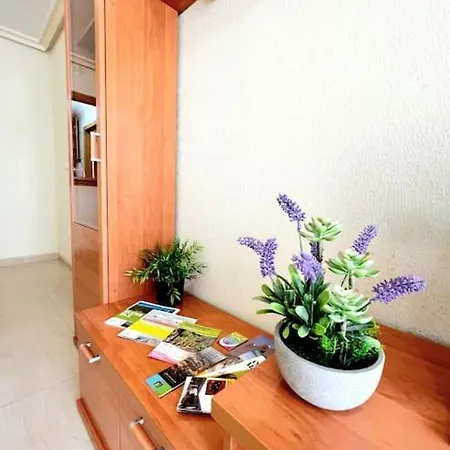 Casa Limpia De Reina * Torrevieja